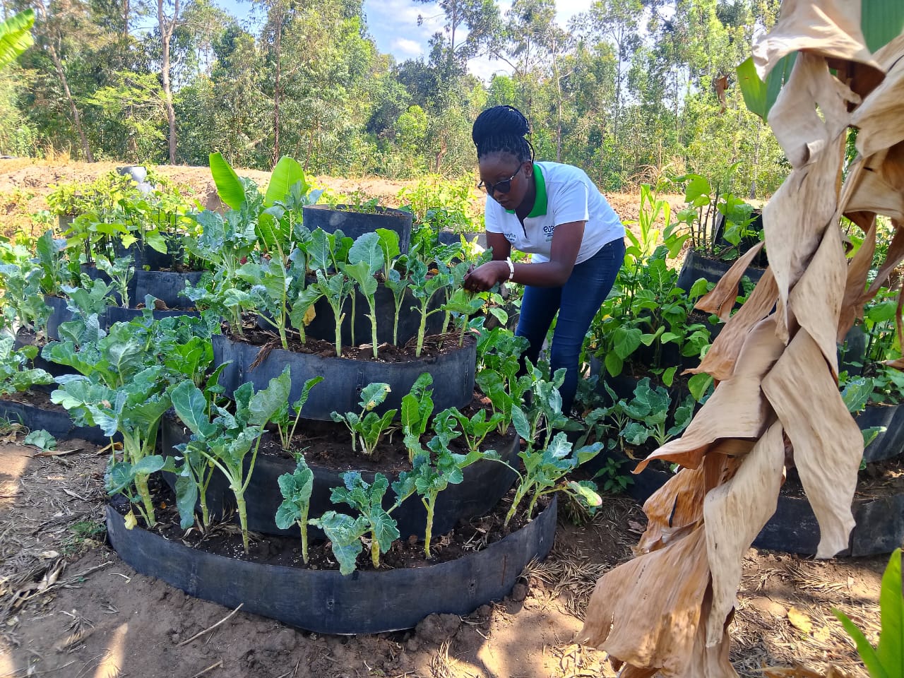 Food security and community empowerment